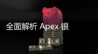 全面解析 Apex 银盾科技：您值得信赖的网络安全伙伴