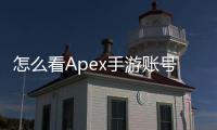 怎么看Apex手游账号：全面指南与深度解析
