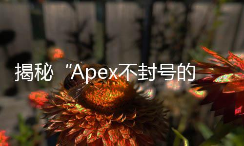揭秘“Apex不封号的外挂”：神话还是现实？
