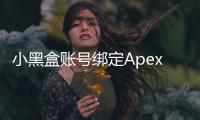 小黑盒账号绑定Apex英雄账号终极指南：一步到位，畅享游戏乐趣