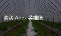 购买 Apex 英雄账号：解锁游戏新维度的深度解析与实用指南