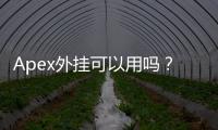 Apex外挂可以用吗？深度解析：真相、风险与公平竞技的呼唤