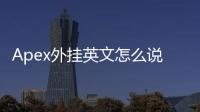 Apex外挂英文怎么说？全面解析与深度指南